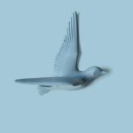 Modern Bird Wall Art Decals - Set of Five - Karigaari India Aesthetic Home Decor