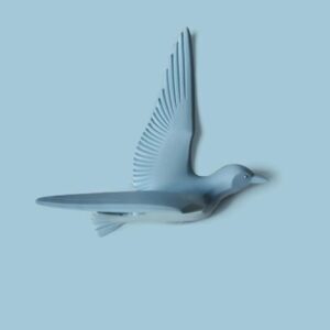 Modern Bird Wall Art Decals - Set of Five - Karigaari India Aesthetic Home Decor