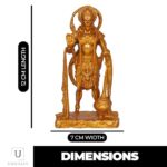 Divine Resin Hanuman Idol for Puja - Karigaari India Aesthetic Home Decor