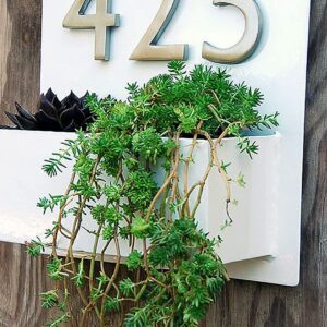 Bold Letters White Duco Finish Number Planter Plate - Karigaari India Aesthetic Home Decor